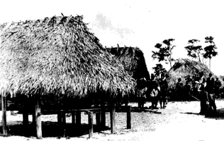 Seminole village